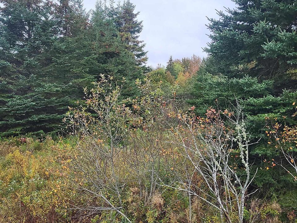 2nd image of Highway 224
