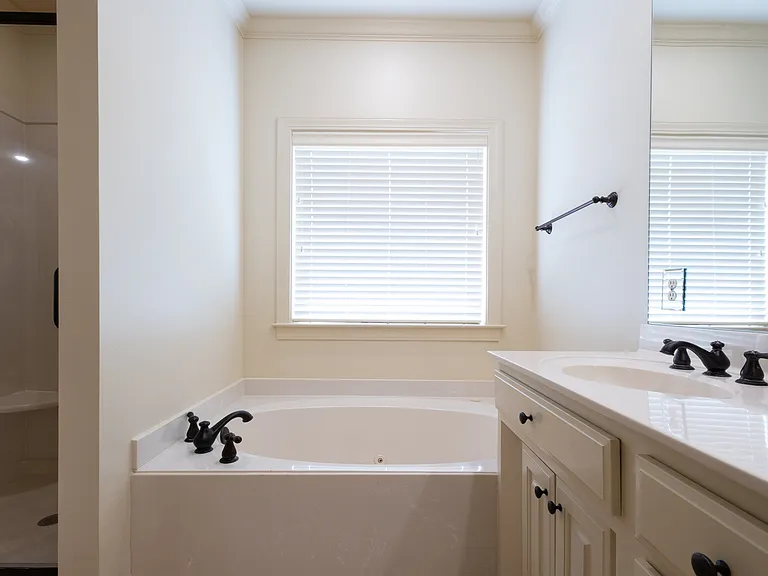Master Bathroom Soaking Tub