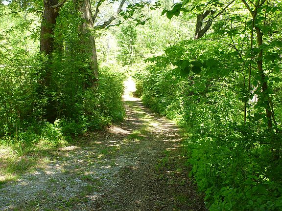 3rd image of 1702 Veeler Road