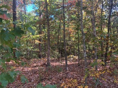 Eastleigh Dr, Bella vista, AR, 72714