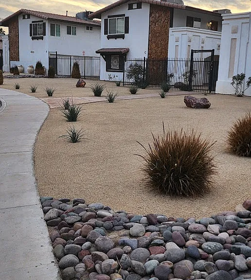 Desert Oasis — Photo 17