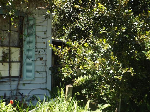 5th image of 6167 SE 118th Pl