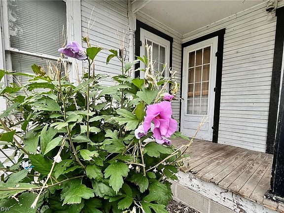3rd image of 279 Wilson St