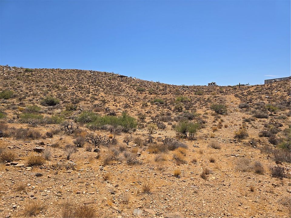 1st image of 0000 Smoketree