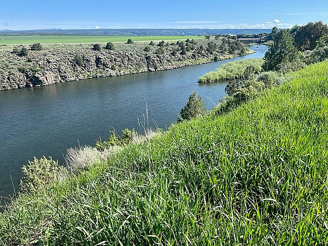 View looking upriver