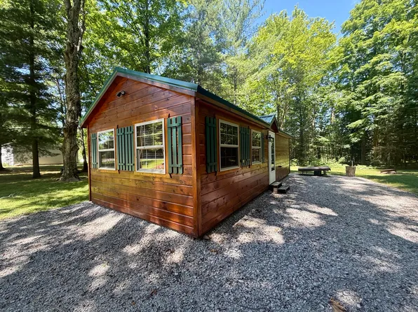 5268 E Alpine Dr, Luther, MI 49656
