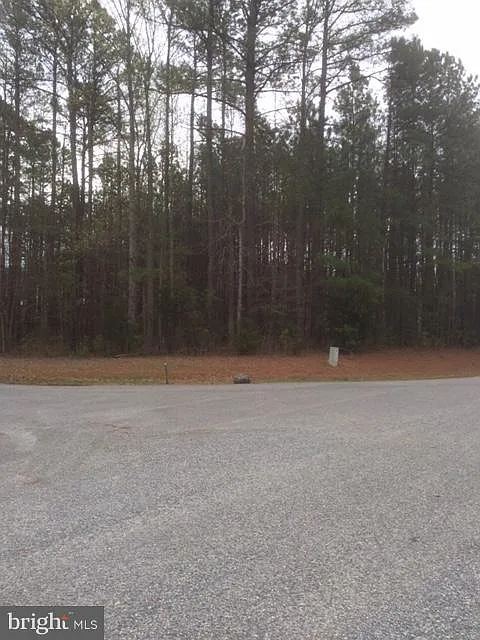 3401 Rockland Creek Rd photo 1