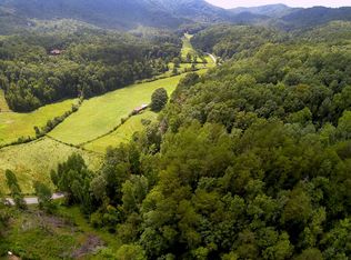 Snake Nation Rd, Blue Ridge, GA 30513