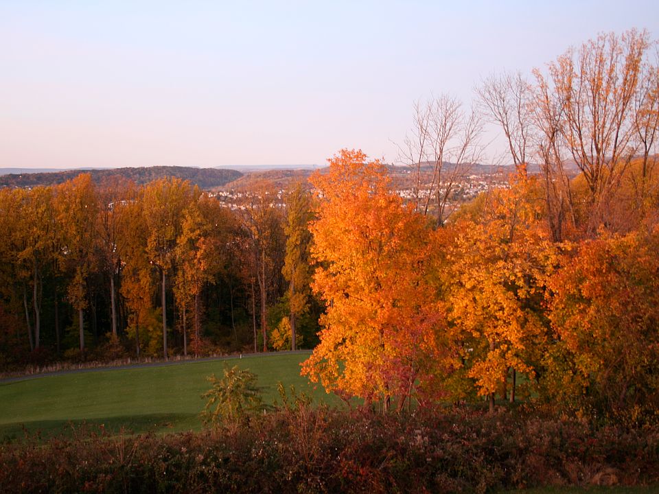 View from balcony