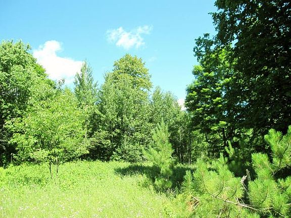 4th image of Whispering Pines Drive 140 Acres