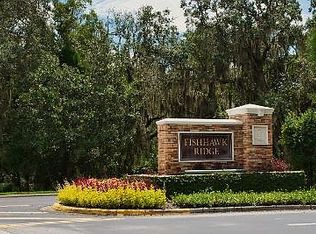 15762 Fishhawk Falls Dr, Lithia, FL 33547