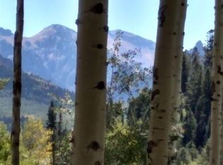 1341 Hampton Rd, Cimarron River Area, CO 81243