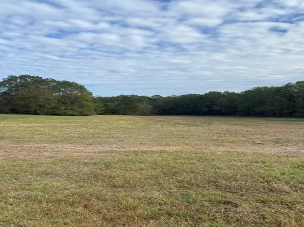 16123 County Road 9, Fitzpatrick, AL 36029