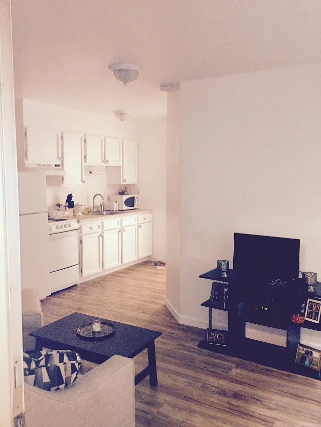 1 bed, 550 sqft, $1,295 — Photo 2