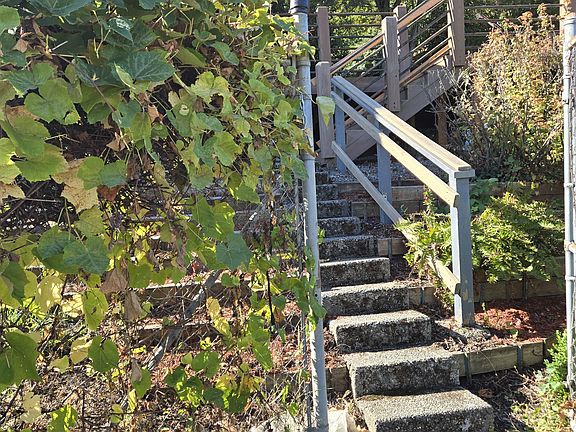 stairs to main entry. fully fenced