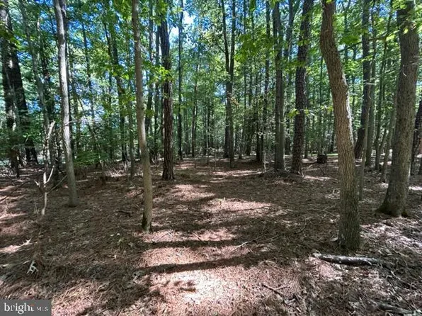 Quaker Neck Rd, Bozman, MD 21612