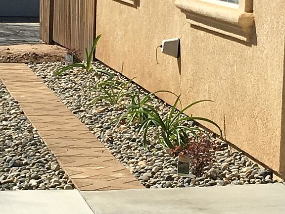 New Rock & landscaping front