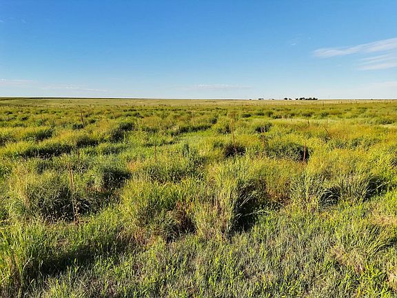 4th image of County Road 35