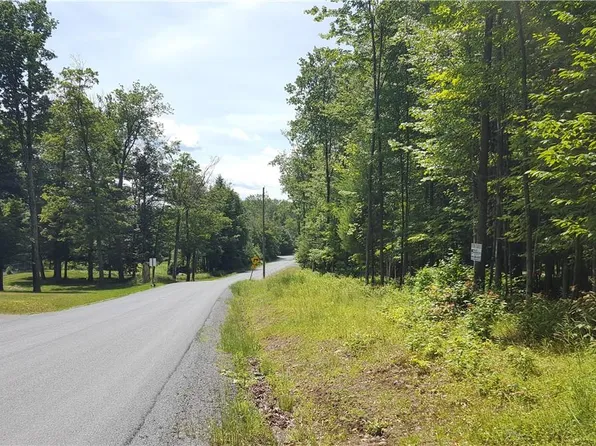 Co Hwy 73, Swan Lake, NY 12783