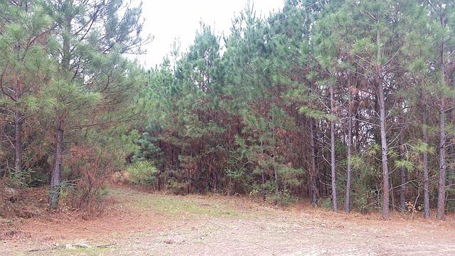 1st image of 1208 County Road 123
