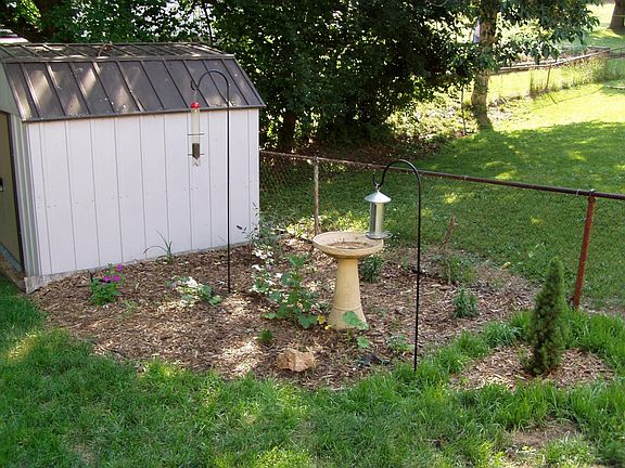 Backyard Garden and Shed
