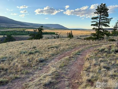 624 Dewclaw Rd, Red Feather Lakes, CO, 80545