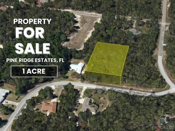 4525 N Buffalo Dr, Beverly Hills, FL 34465