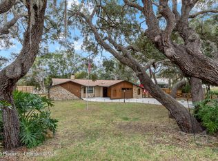 325 Gulfport Ln, Spring Hill, FL 34608