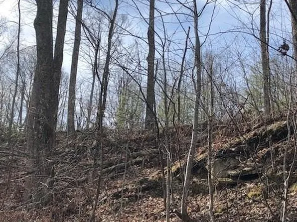 0 Marshall Ridge Rd #79, Hendersonville, NC 28792