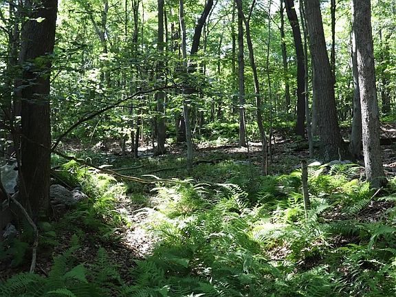 2nd image of LOT 312 Ridge Run