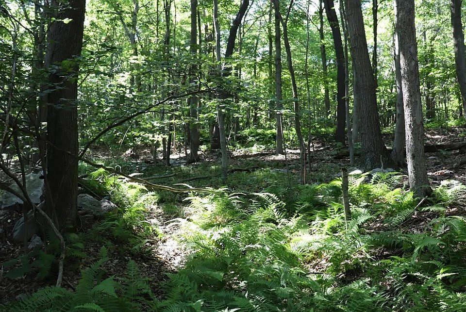 2nd image of LOT 312 Ridge Run