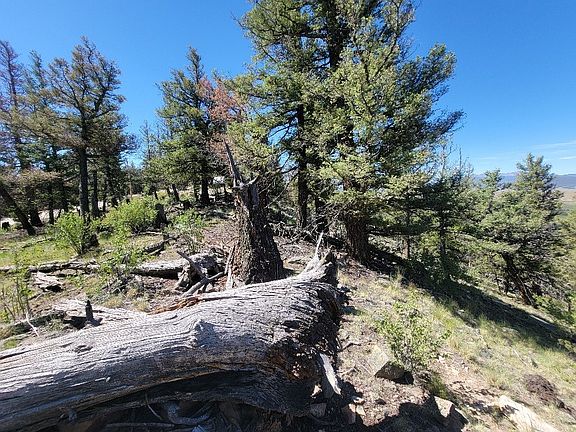 4th image of 2471 Middle Fork Vista