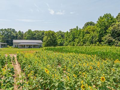 16278 History Land Hwy, Warsaw, VA, 22572