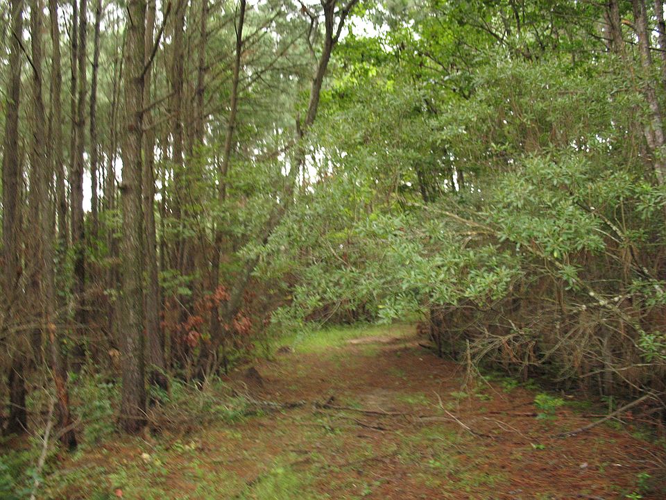 2nd image of Jarvisburg Rd