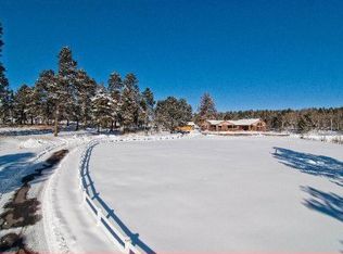 23215 Oehlmann Park Rd, Conifer, CO 80433