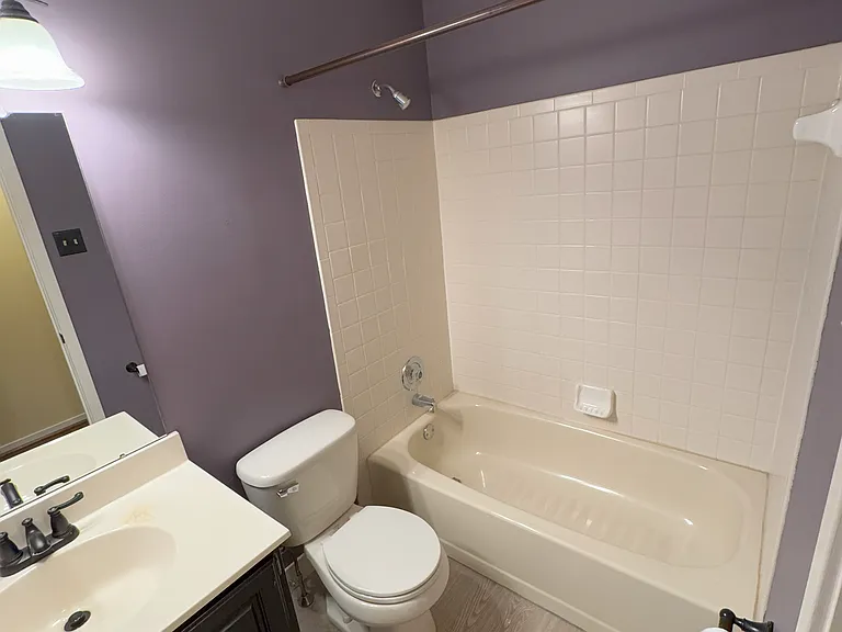 Hall bathroom
