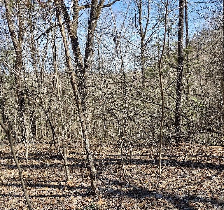 1st image of 9 Cove Mountain Ln Lot 9-B