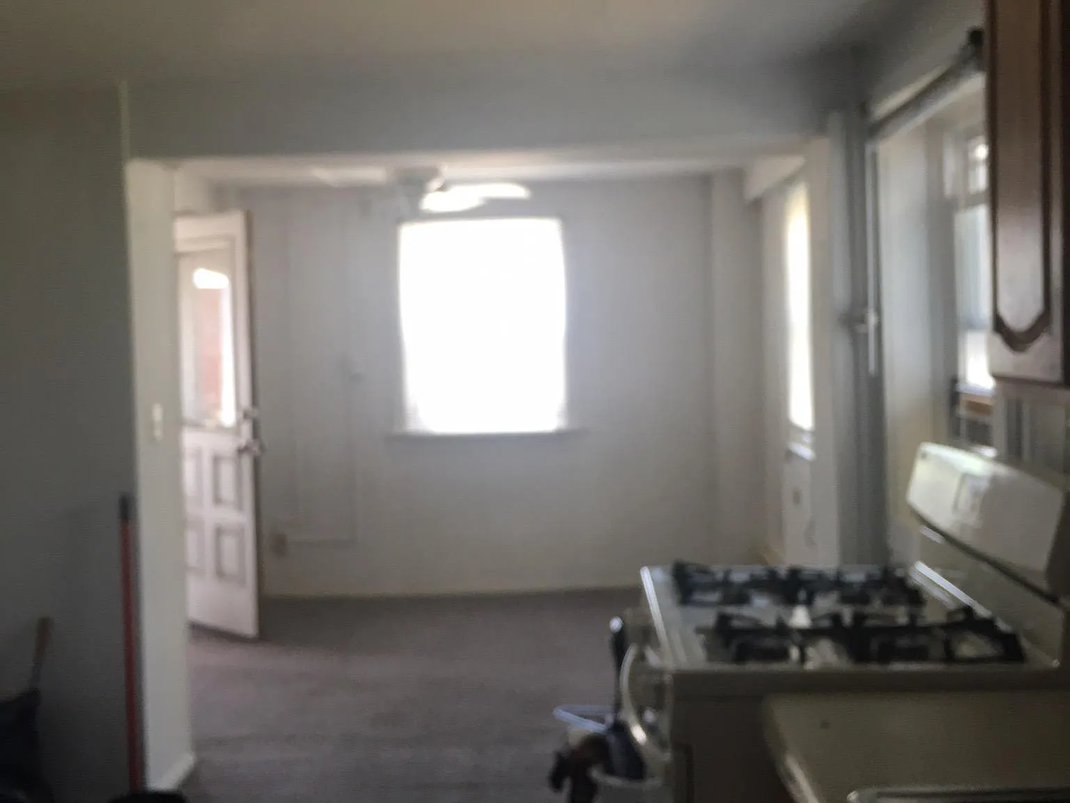 1 bed, 500 sqft, $875 — Photo 4