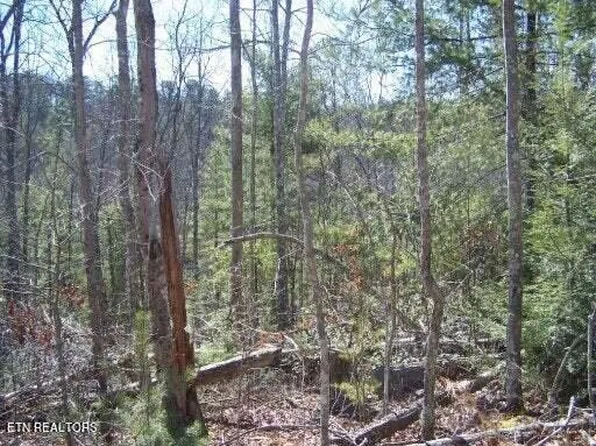 Christa Trl, Walland, TN 37886