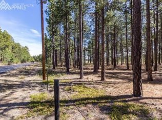 17935 Canterbury Dr, Monument, CO 80132