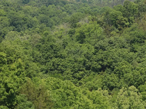 1200 Sugg Rd, Carlisle, KY 40311
