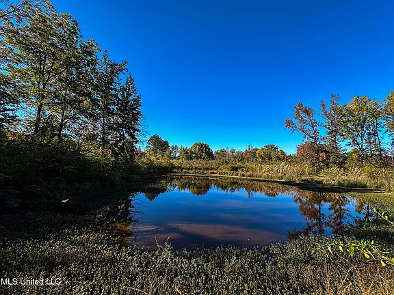 4th image of 1 Mississippi #331