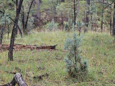 0 Canyon Rd #16, Cloudcroft, NM, 88317