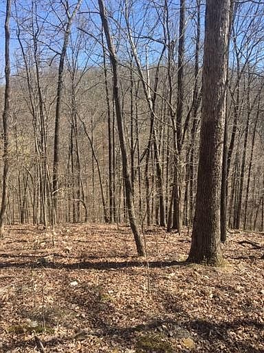 2nd image of 8942 Hester Beasley Rd