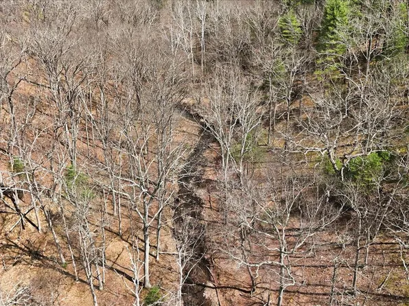 62 Crest Haven Rd #2, Romney, WV 26757