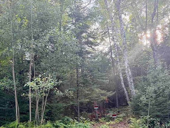 4th image of 12794 Beauty Mountain Rd