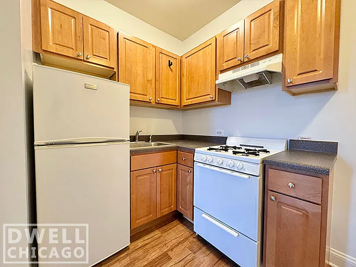 1724 N Humboldt Blvd #207 — Photo 6