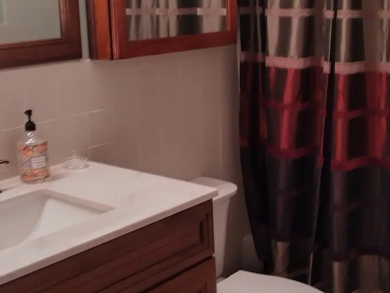 Guest Bath