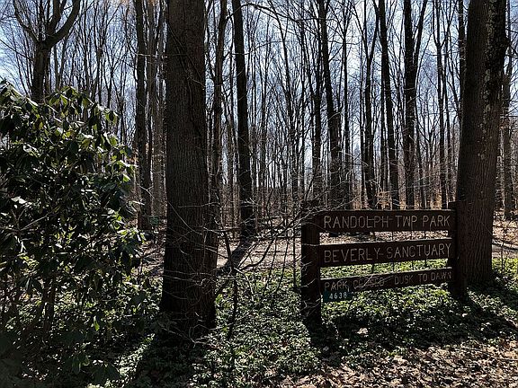 Park across the street