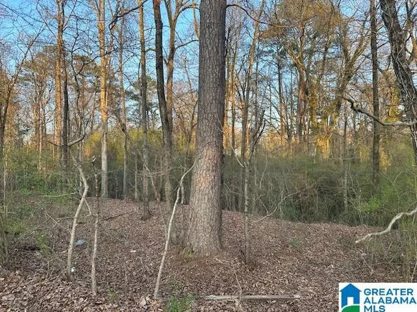 9 S Airport Rd #7, Jasper, AL 35504